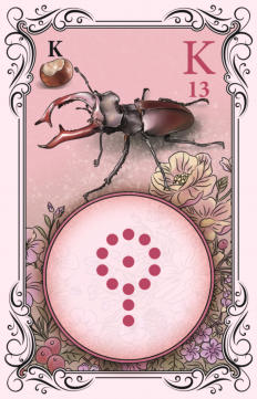 Digitale Illustration für ein Kartenspiel – komplette Gestaltung inklusive Hintergrund, Ornamenten und Hauptmotiv, erstellt mit Rebelle 7 und Adobe Photoshop